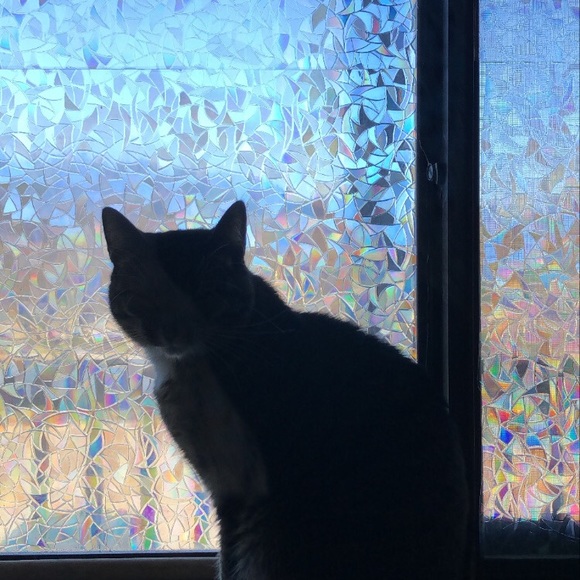 Meet your Posher, Em - Picture 1 of 1